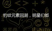 豹纹元素回潮，明星们都在抢着穿！